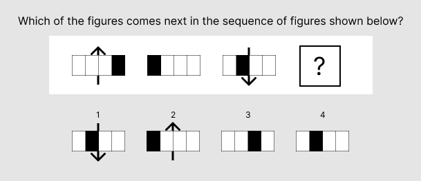 PI Cognitive Assessment Visual Series Sample 1