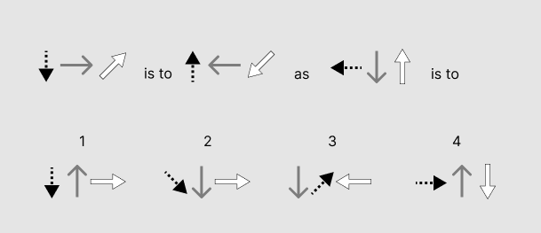 PI Cognitive Assessment Visual Analogies Sample 1