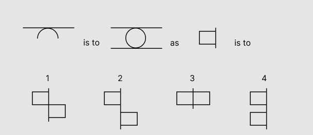 PI Cognitive Assessment Visual Analogies Sample 4
