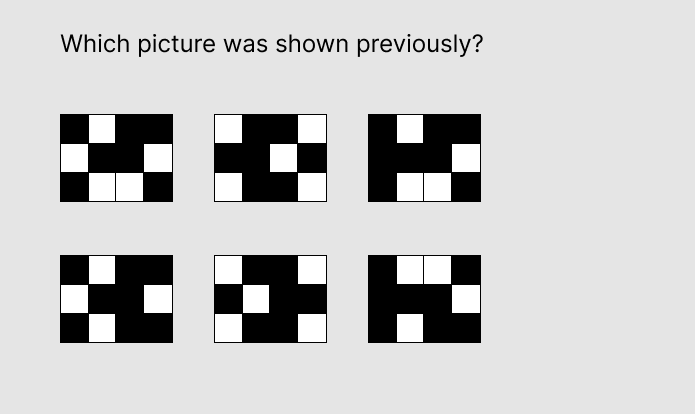 FEAST Test Memorize Pictograms Test Sample