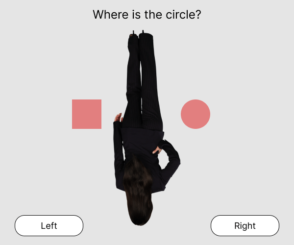 FEAST Test Right-Left Orientation Test Sample