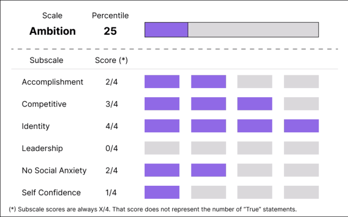 Hogan HPI Scoring