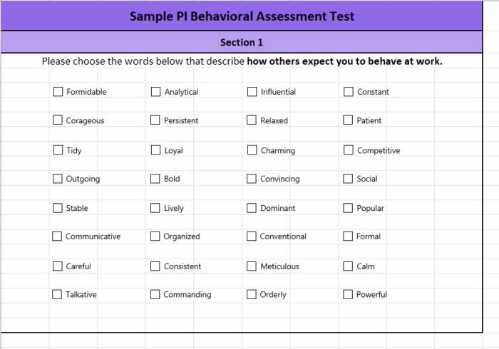 PI Behavioral Assessment Free Test - Section 1